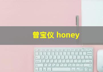 曾宝仪 honey